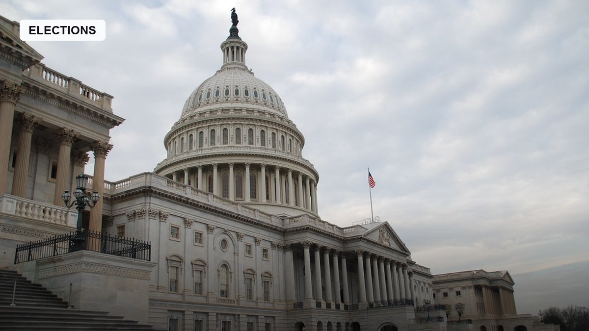 electionnewsdesk