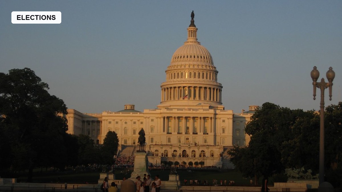 electionnewsdesk