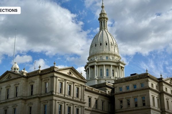 Michigan's Open Senate Seat Pits Progressive Abdul El-Sayed Against Trump-Backed Mike Rogers